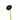 ranunculus-purple