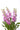 stock-pink