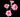 carnation_mini-white_red