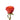 rose-orange-high_and_orange_magic-2