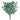 eucalyptus-silver_dollar