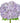 hydrangea-lavender
