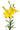 lily_asiatic-yellow