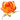 rose-bicolor_circus-yellow_orange
