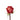 rose-orange-high_and_orange_magic-1