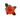 rose-orange-high_and_orange_magic-3