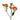 spray_rose-orange-3