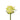 rose-yellow-stardust-1