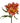 alstroemeria-orange-hot_pepper