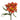 alstroemeria-orange-hot_pepper