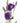 lisianthus-purple-1