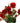 spray_rose-burgundy