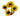 viking_daisy-yellow