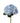 hydrangea_jumbo-blue