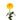 mum_disbud_ball-yellow