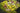 cape_mix