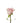 rose-light_pink-sophie-2