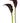 calla_lily_mini-black
