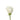 rose-cream-vendela-1