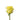 rose-yellow-stardust-2
