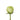 rose-green-lemonade-1