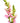 snapdragon-pink