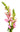 snapdragon-pink