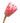 protea-pink