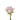 rose-cream-menta-2