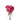 rose-lavender-deep_purple-2