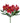 alstroemeria-red-angelina