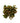 hypericum_berry-peach-2
