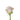 rose-cream-menta-1