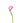 mini_calla_lily-light_pink