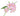 alstroemeria-light_pink