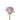 rose-lavender-ocean_song-2
