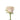 rose-light_pink-pink_mondial-2