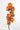 cymbidium_orchid-orange
