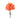 carnation-orange