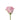 rose-light_pink-rosita_vendela-2