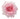 garden_rose-light_pink