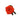 rose-orange-santana-3