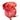 rose-coral_natures_cherry