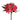 alstroemeria-dark_pink-rome