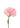 carnation-light_pink