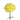 carnation-yellow