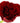 rose-red_heart