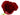 rose-red_heart