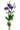 lisianthus-purple-2