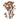 kangaroo_paw-orange